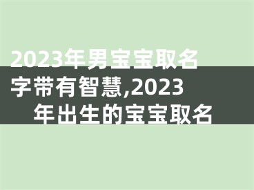 2023年男宝宝取名字带有智慧,2023年出生的宝宝取名