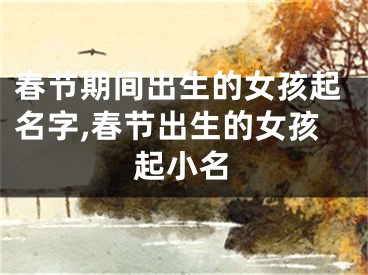 春节期间出生的女孩起名字,春节出生的女孩起小名