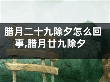 腊月二十九除夕怎么回事,腊月廿九除夕