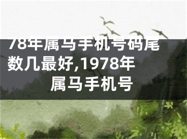78年属马手机号码尾数几最好,1978年属马手机号