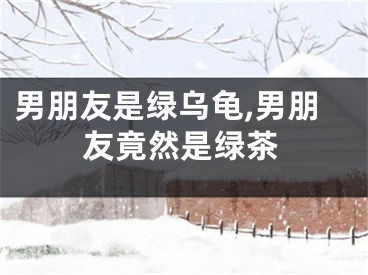 男朋友是绿乌龟,男朋友竟然是绿茶