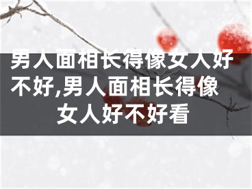 男人面相长得像女人好不好,男人面相长得像女人好不好看