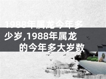 1988年属龙今年多少岁,1988年属龙的今年多大岁数