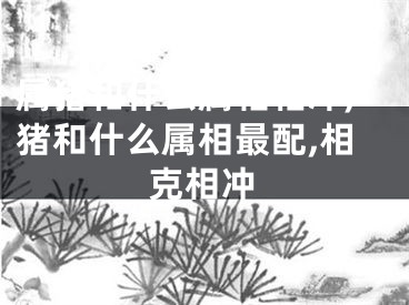 属猪和什么属相相冲,猪和什么属相最配,相克相冲