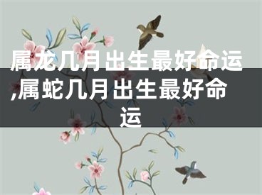 属龙几月出生最好命运,属蛇几月出生最好命运