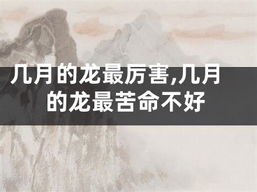几月的龙最厉害,几月的龙最苦命不好