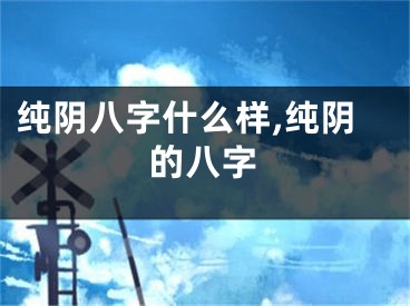 纯阴八字什么样,纯阴的八字