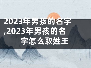 2023年男孩的名字,2023年男孩的名字怎么取姓王