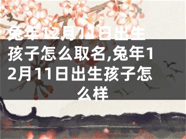 兔年12月11日出生孩子怎么取名,兔年12月11日出生孩子怎么样