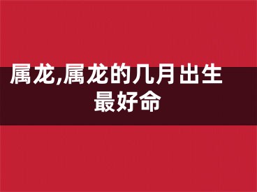 属龙,属龙的几月出生最好命