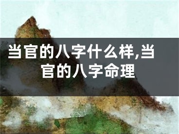 当官的八字什么样,当官的八字命理