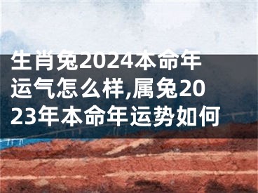 生肖兔2024本命年运气怎么样,属兔2023年本命年运势如何
