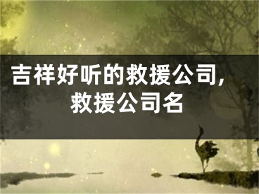 吉祥好听的救援公司,救援公司名