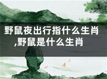 野鼠夜出行指什么生肖,野鼠是什么生肖