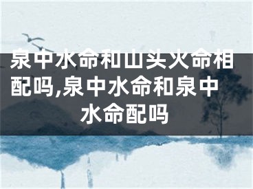 泉中水命和山头火命相配吗,泉中水命和泉中水命配吗