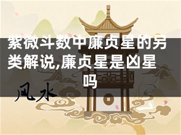 紫微斗数中廉贞星的另类解说,廉贞星是凶星吗