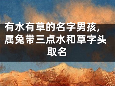 有水有草的名字男孩,属兔带三点水和草字头取名