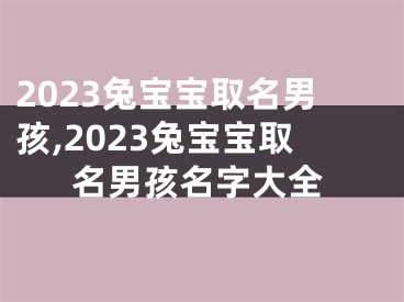 2023兔宝宝取名男孩,2023兔宝宝取名男孩名字大全