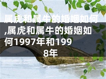属虎和属牛的婚姻如何,属虎和属牛的婚姻如何1997年和1998年