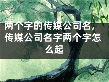 两个字的传媒公司名,传媒公司名字两个字怎么起