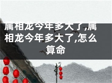 属相龙今年多大了,属相龙今年多大了,怎么算命