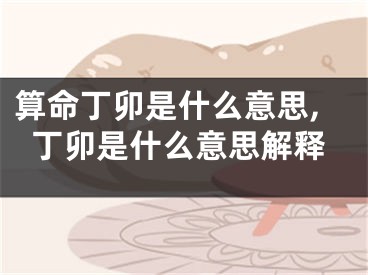算命丁卯是什么意思,丁卯是什么意思解释