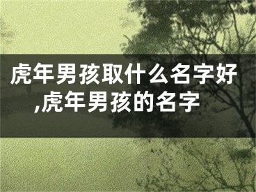 虎年男孩取什么名字好,虎年男孩的名字
