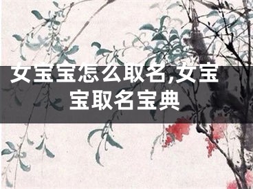 女宝宝怎么取名,女宝宝取名宝典