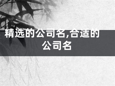 精选的公司名,合适的公司名