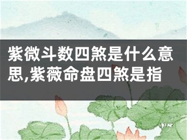 紫微斗数四煞是什么意思,紫薇命盘四煞是指
