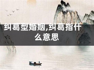 纠葛型婚姻,纠葛指什么意思
