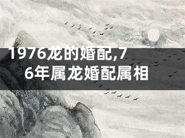 1976龙的婚配,76年属龙婚配属相