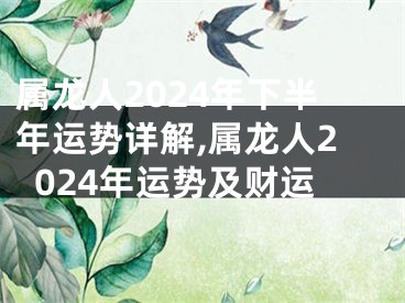 属龙人2024年下半年运势详解,属龙人2024年运势及财运