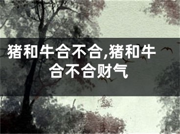 猪和牛合不合,猪和牛合不合财气