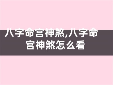 八字命宫神煞,八字命宫神煞怎么看