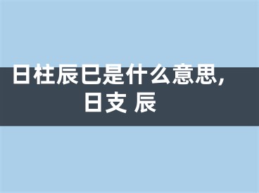 日柱辰巳是什么意思,日支 辰