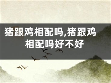 猪跟鸡相配吗,猪跟鸡相配吗好不好