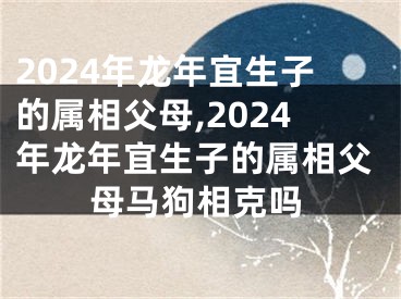 2024年龙年宜生子的属相父母,2024年龙年宜生子的属相父母马狗相克吗