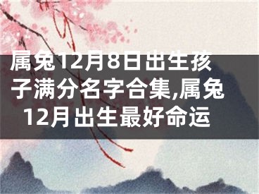 属兔12月8日出生孩子满分名字合集,属兔12月出生最好命运