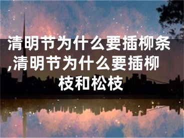 清明节为什么要插柳条,清明节为什么要插柳枝和松枝
