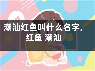 潮汕红鱼叫什么名字,红鱼 潮汕