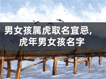 男女孩属虎取名宜忌,虎年男女孩名字