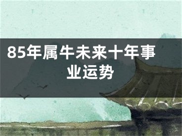 85年属牛未来十年事业运势