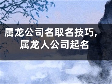 属龙公司名取名技巧,属龙人公司起名