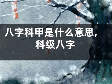 八字科甲是什么意思,科级八字