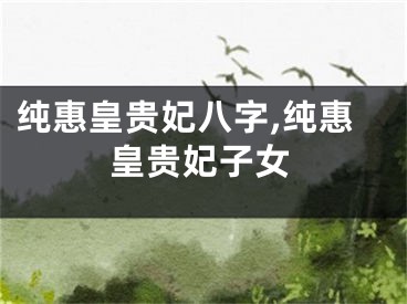 纯惠皇贵妃八字,纯惠皇贵妃子女