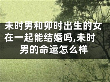 未时男和卯时出生的女在一起能结婚吗,未时男的命运怎么样