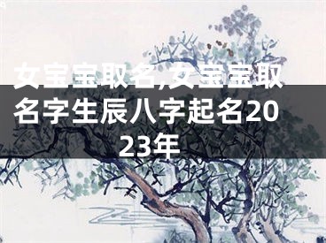 女宝宝取名,女宝宝取名字生辰八字起名2023年