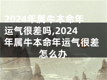 2024年属牛本命年运气很差吗,2024年属牛本命年运气很差怎么办