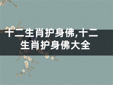 十二生肖护身佛,十二生肖护身佛大全